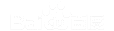 ��ҰAI�Ż�
